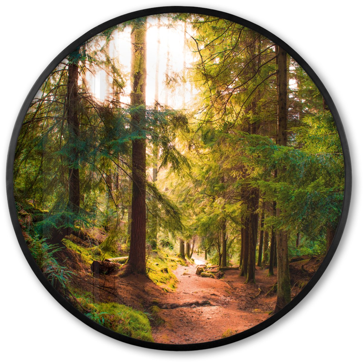 FrameYourWall Poster in lijst Rond - Fotolijst 80x80 cm - Posters - Bos - Pad - Bomen - Groen - Zon - Natuur - Ronde posterlijst zwart - Decoratie - Wanddecoratie woonkamer - Muurdecoratie slaapkamer Bos - Donker