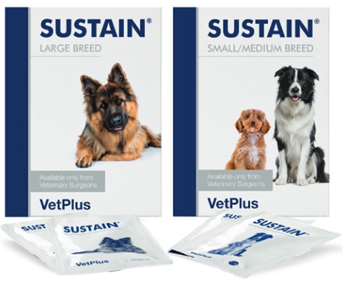 VetPlus Sustain - 30 sachets - Immuunondersteuning VetPlus Sustain - 30 sachets - Immuunondersteuning