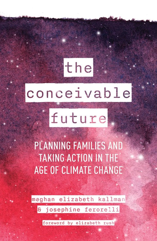 The Conceivable Future - cover