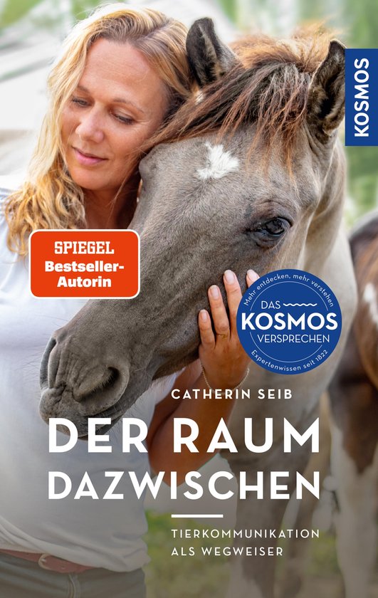 Der Raum dazwischen - cover