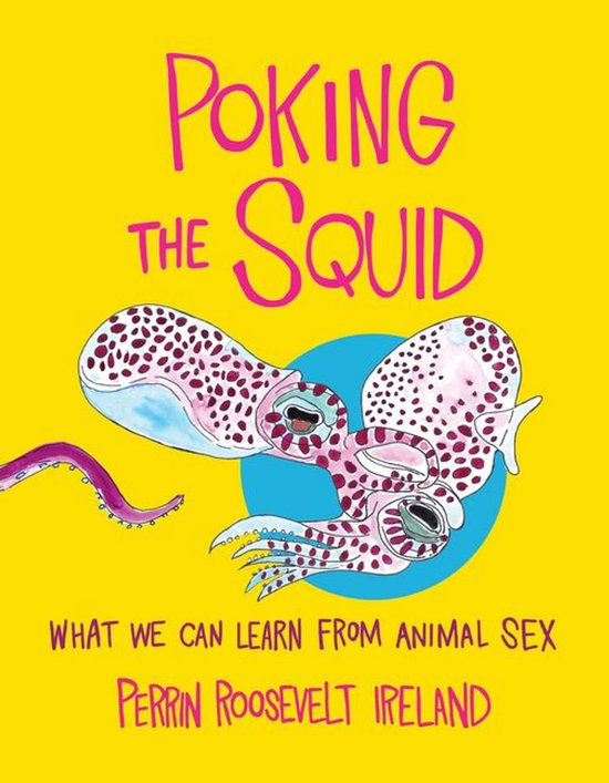 Poking the Squid - cover