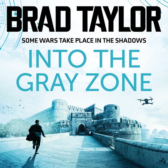 Into the Gray Zone - cover