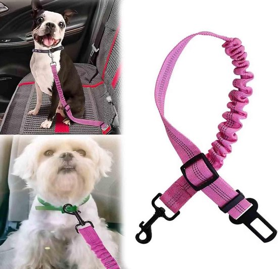 Beste hondenautogordel kopen online - Autogordel hond
