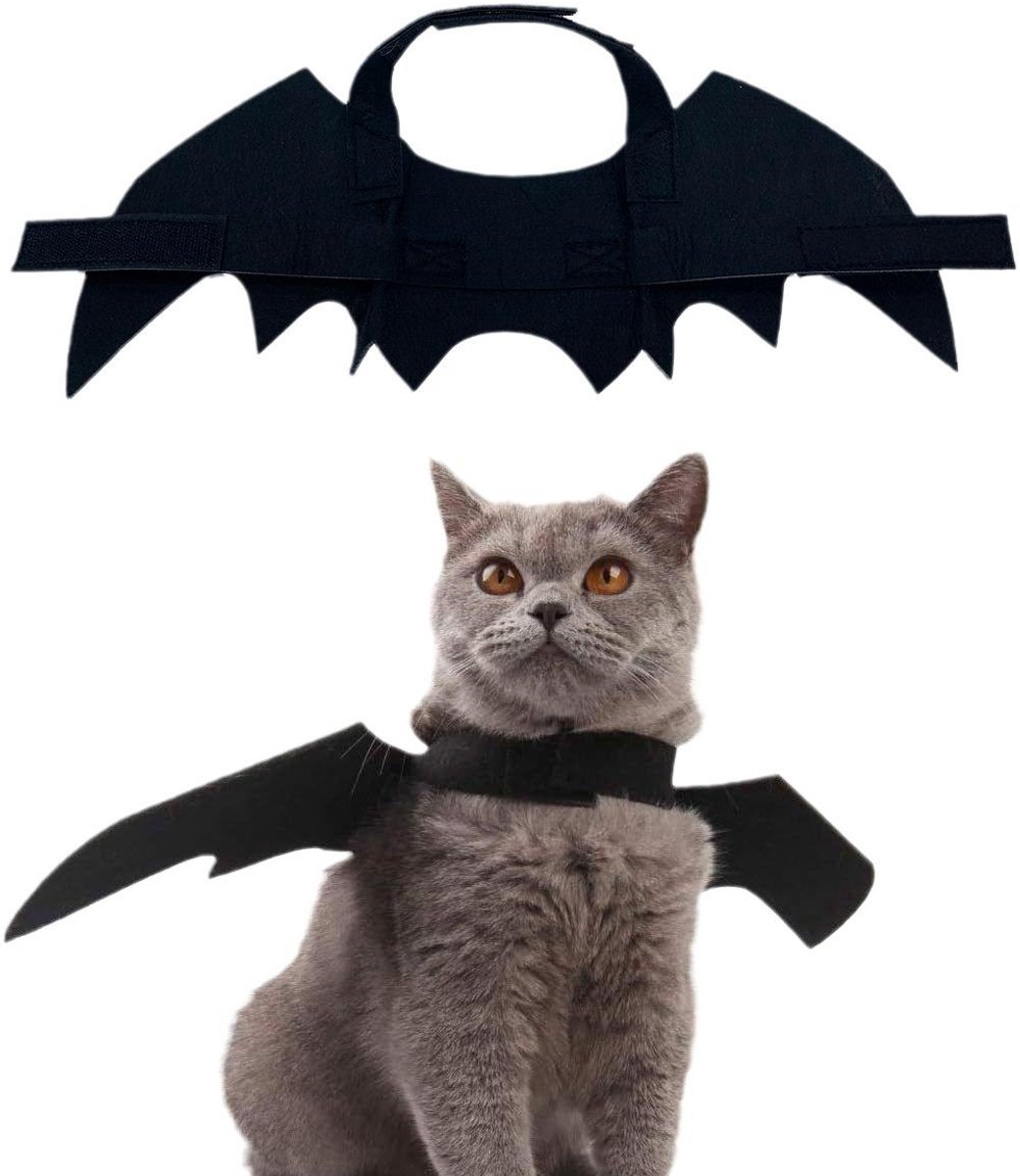 Daity Halloween kattenkostuums voor katten - honden en huisdieren met vleermuisvleugels - Kat en hond vleermuiskostuum vleugels - Kat en hond cadeaus - Huisdiercadeaus (maat M)