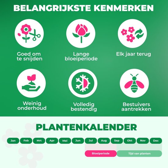 Overzicht van kenmerken en plantkalender voor planten.