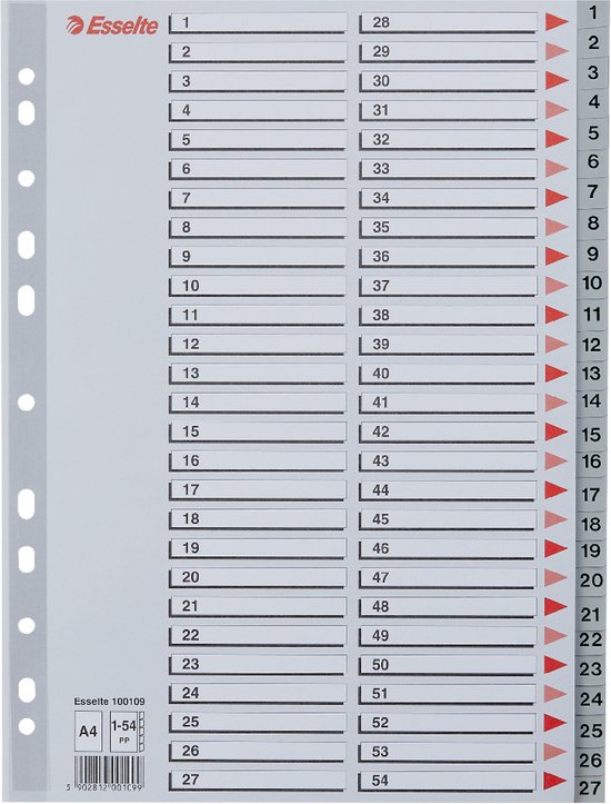 Esselte Index A4 - 0,12mm PP - Tabs 1-54 - 11-gaats - Grijs