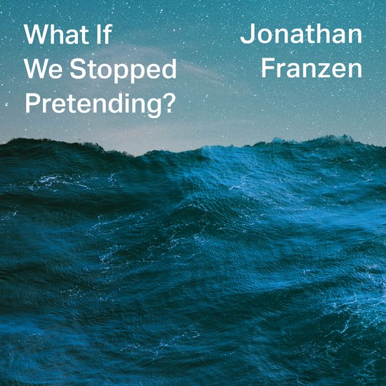 What If We Stopped Pretending? - cover