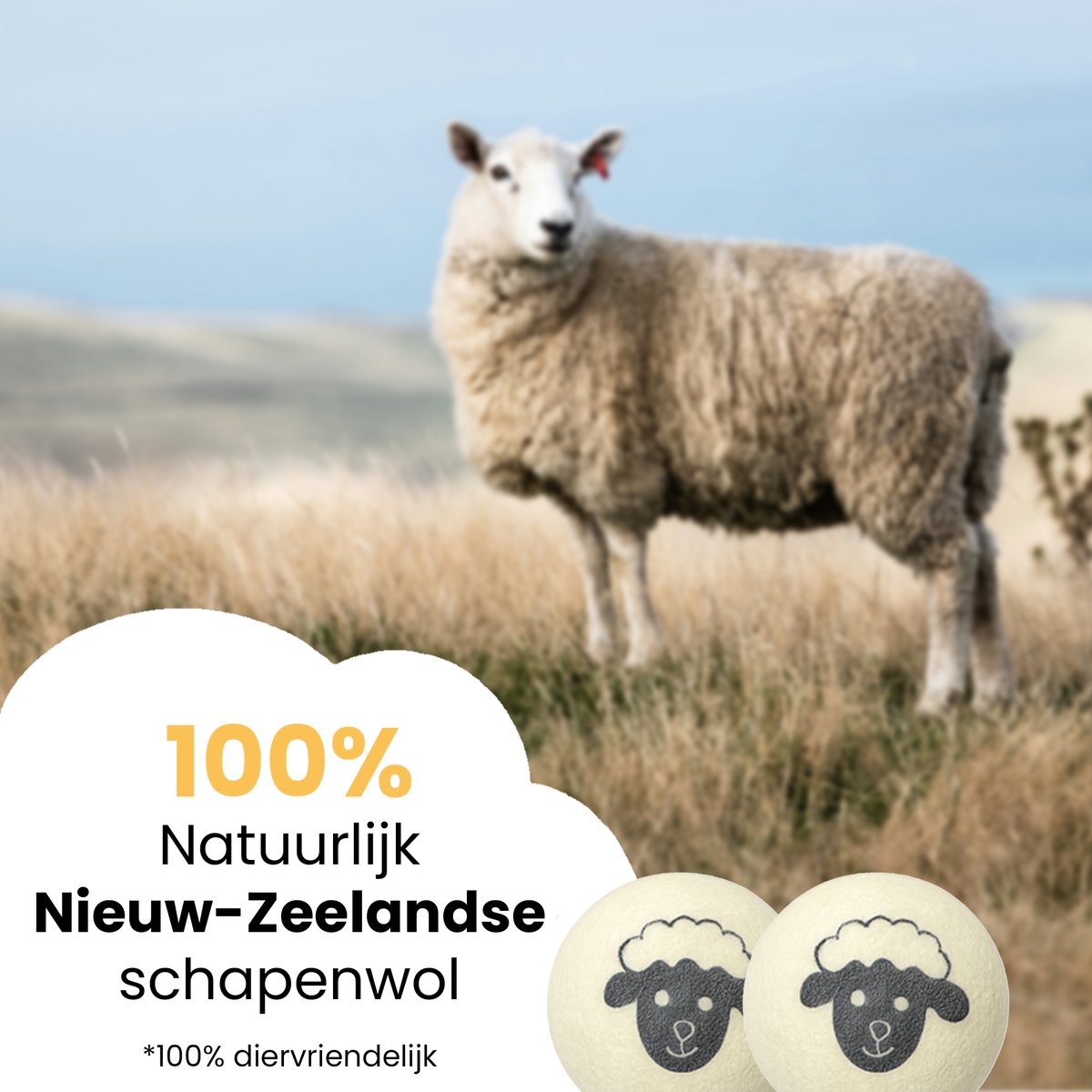 Fienosa Drogerballen 6 stuks – 100% Nieuw-Zeelandse Schapenwol – Herbruikbare Wasdrogerballen – Verkort Droogtijd & Bespaart Energie – Antistatisch, Natuurlijke Wasverzachter – Inclusief Opbergzakje
