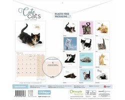 Schattige Katten Kalender 2026