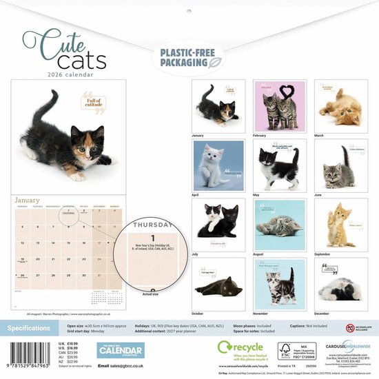 Schattige Katten Kalender 2026