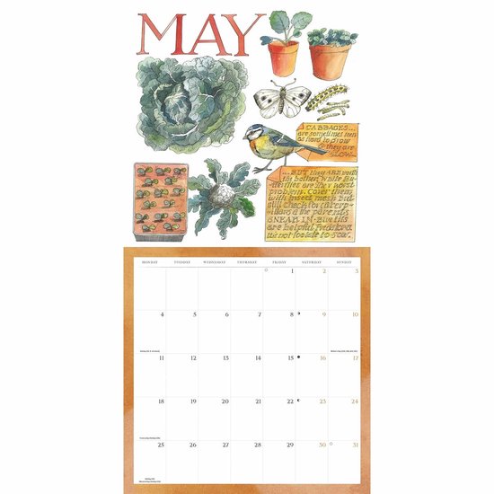 Matthew Rice A Year In The Country Kalender 2026