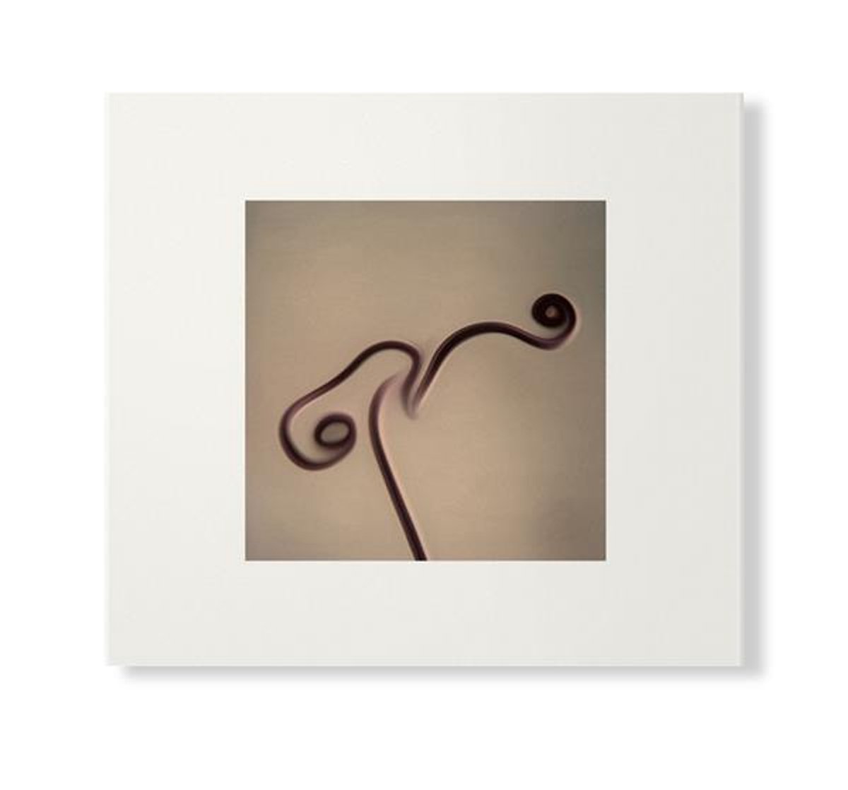 Susumu Yokota - Image 1983-1998 (CD)