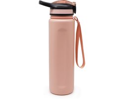 Motivai Cold Sip RVS Thermosfles met Rietje – 700ML (24oz) – Lekvrij & Isolerend – Motiverende Waterfles voor Koude Dranken – BPA-vrij – Rosé