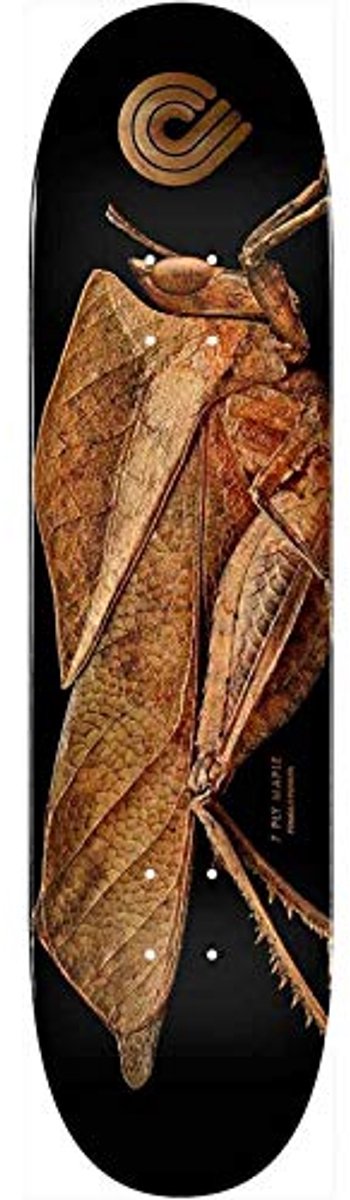 Skate Deck 8,5 x 32,08 cm - Standaard Vorm van 100% Esdoorn