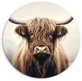 WallCircle® Wandcirkel 60x60 cm - Muurcirkel Schotse hooglander - Hoorns - Landschap - Muurdecoratie woonkamer - Wanddecoratie slaapkamer - Kamer decoratie accessoires - Ronde schilderijen