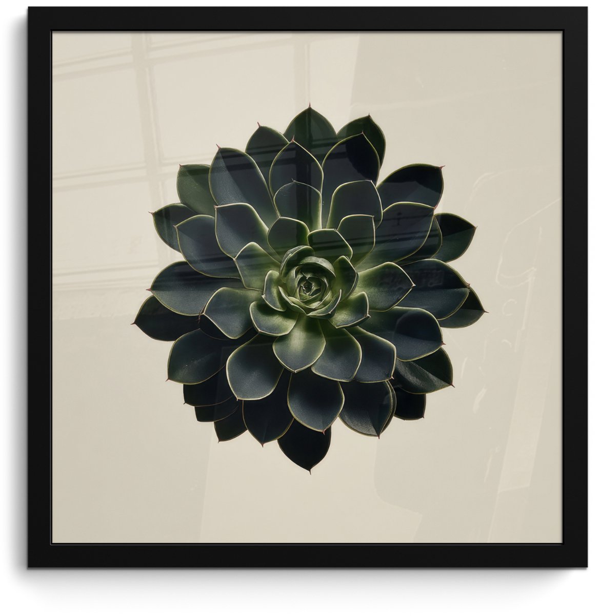 FrameYourWall Poster in lijst - Fotolijst 40x40 cm - Posters - Rozet - Cirkelvormig - Donkergroen - Posterlijst zwart - Decoratie - Wanddecoratie woonkamer - Muurdecoratie slaapkamer