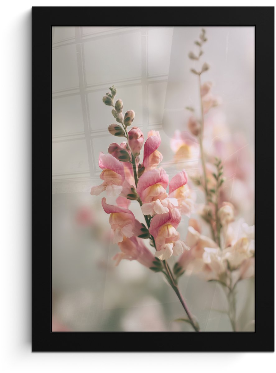 FrameYourWall Poster in lijst - Fotolijst 20x30 cm - Posters - Bloem - Leeuwenbek - Roze - Stengel - Posterlijst zwart - Decoratie - Wanddecoratie woonkamer - Muurdecoratie slaapkamer