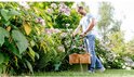 Man met blauw shirt gebruikt de Bosch grastrimmer in een tuin met bloeiende struiken.