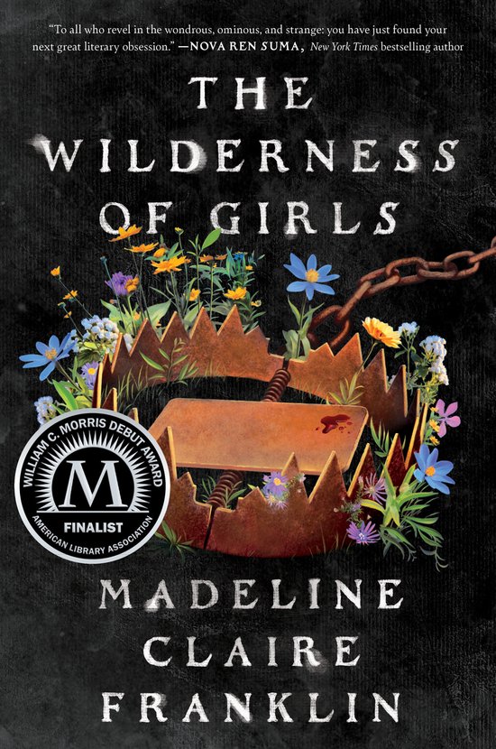The Wilderness of Girls - cover