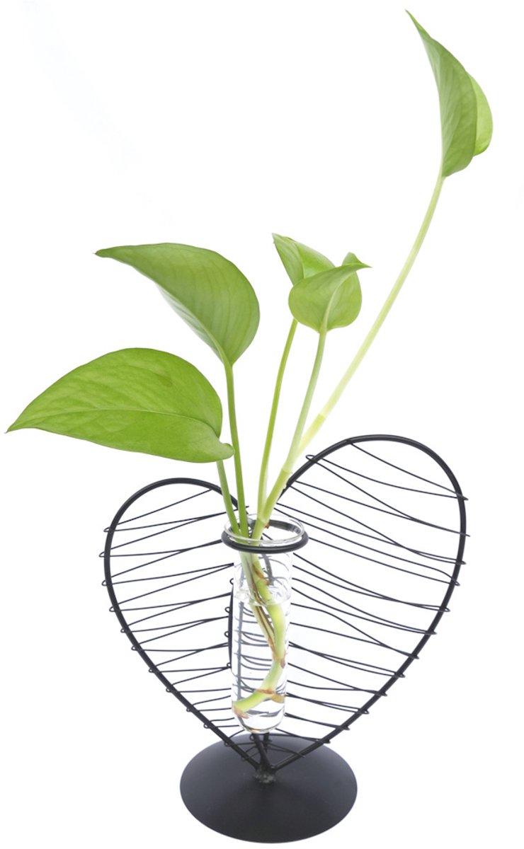 Decopatent Metalen Hart Vaas met Glazen Buis – Decoratief Silhouet Vaasje voor Bloemen & Stekjes Zwart Hart met Glazen Silhouet Buis Vaasje