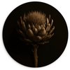 Bloem - Artisjok Bloem - Artisjok