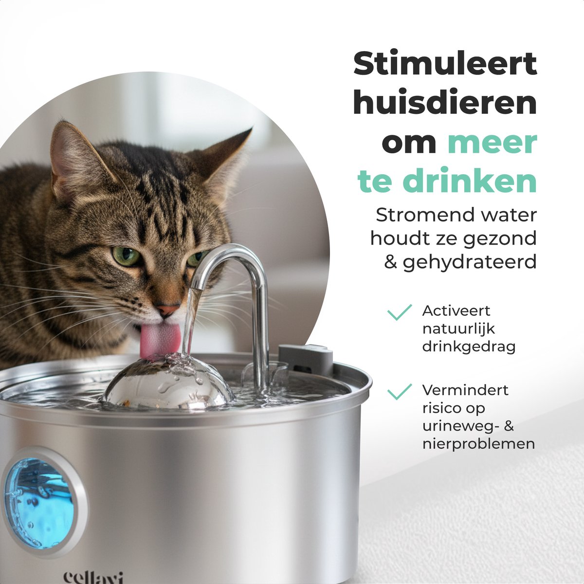 Cellavi R1X: RVS Drinkfontein met Filter - Kat & Hond thumbnail 4