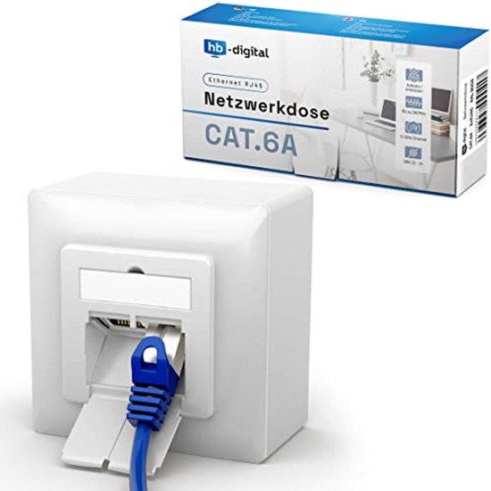 CAT 6a Netwerkaansluiting met 2x RJ45 - Universele Installatie voor CAT