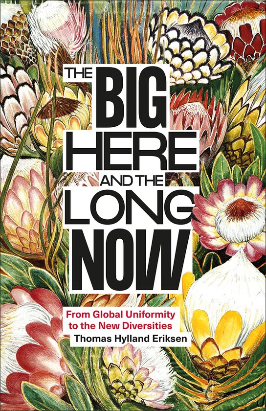 The Big Here and the Long Now - cover