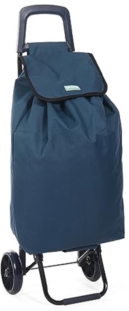 Lichtgewicht 50 liter boodschappentrolley met 2 wielen - Slijtvast en opvouwbaar, Inklapbare duw/trekkar voor eenvoudige opslag (blauw)