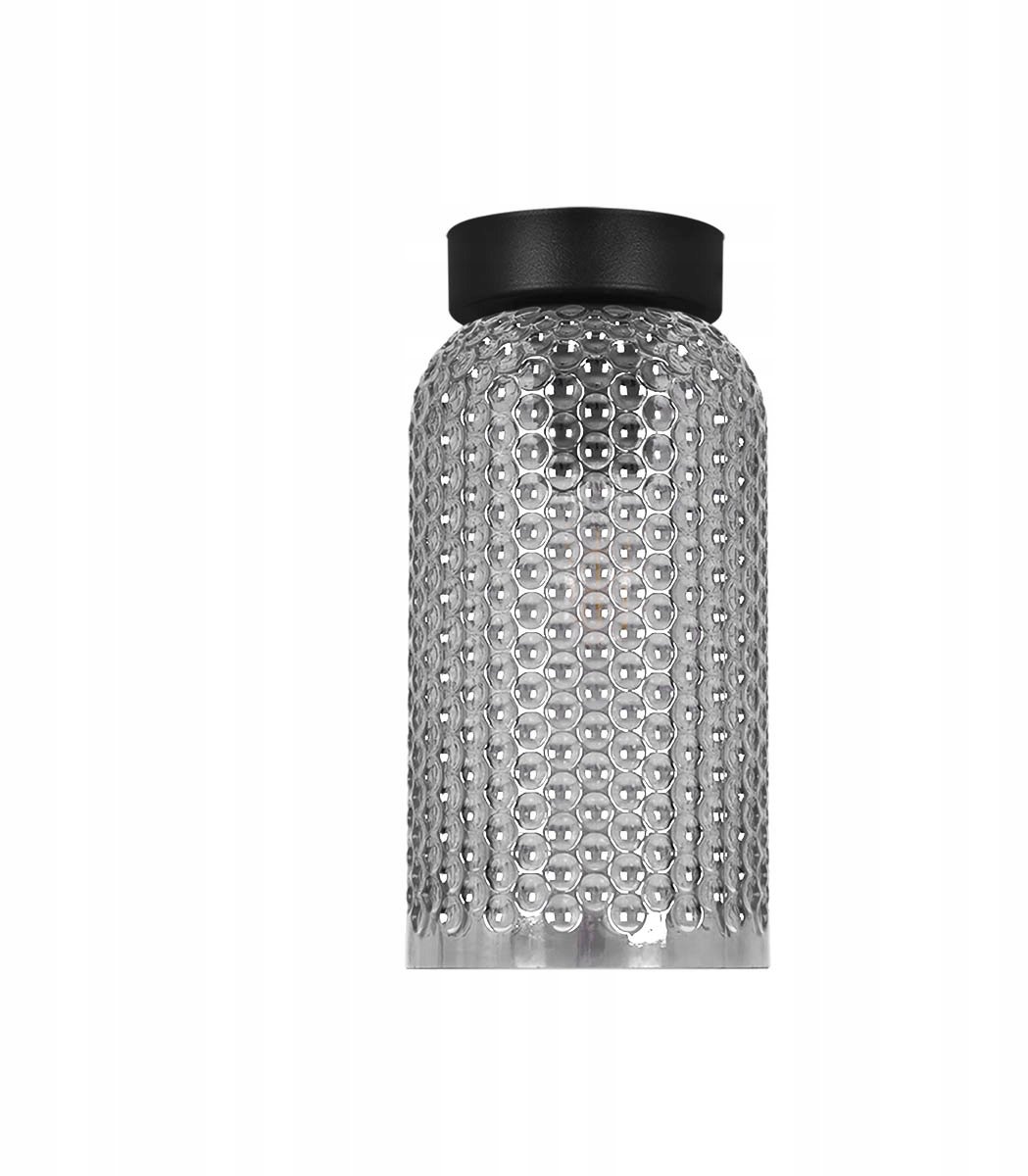 Industriële Plafondlamp Zwart Gerookt Glas - Inga Collectie