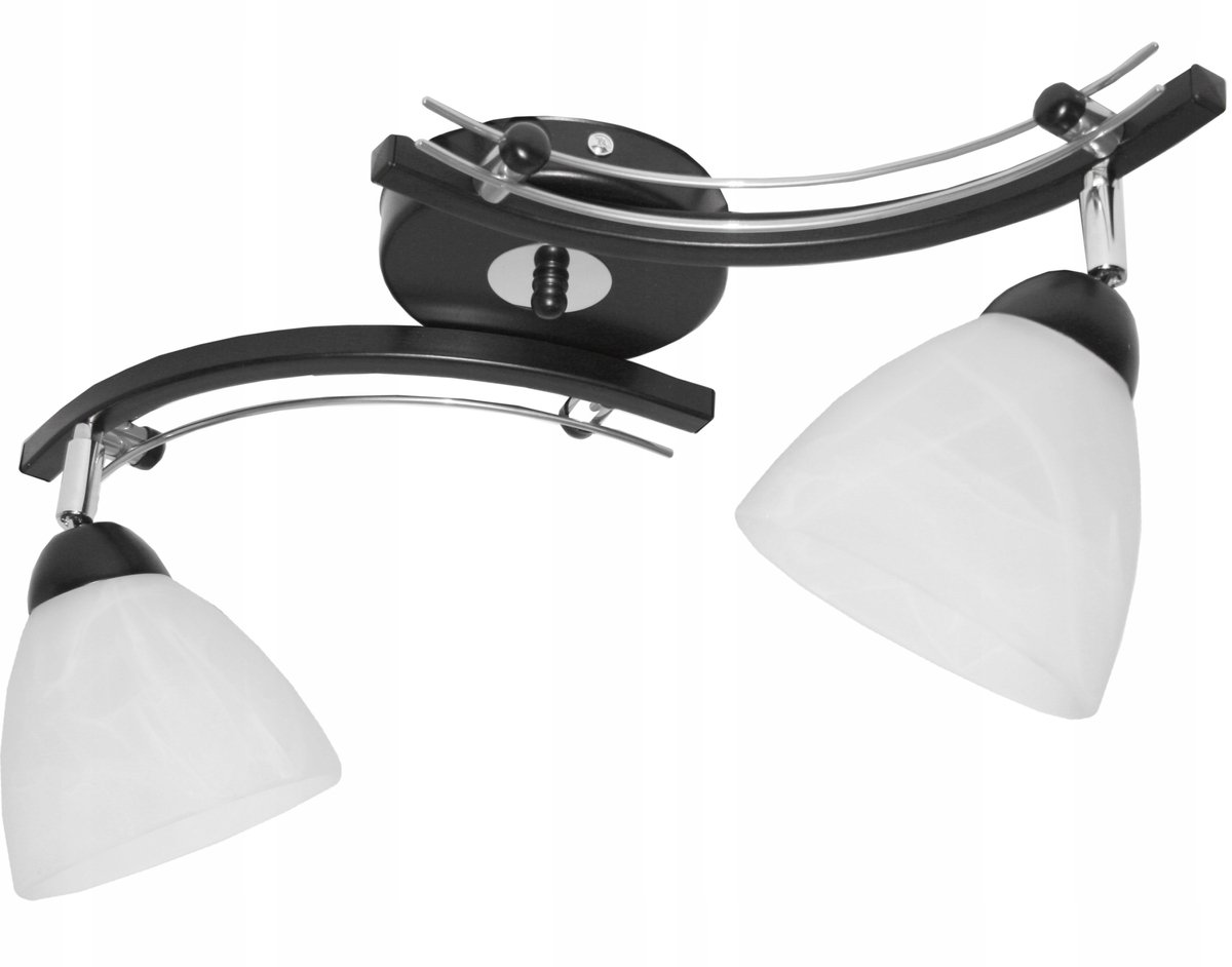 Świetlik FM2 Plafond Lamp 2 Lichtpunten E27 Metaal Zwart/Groen
