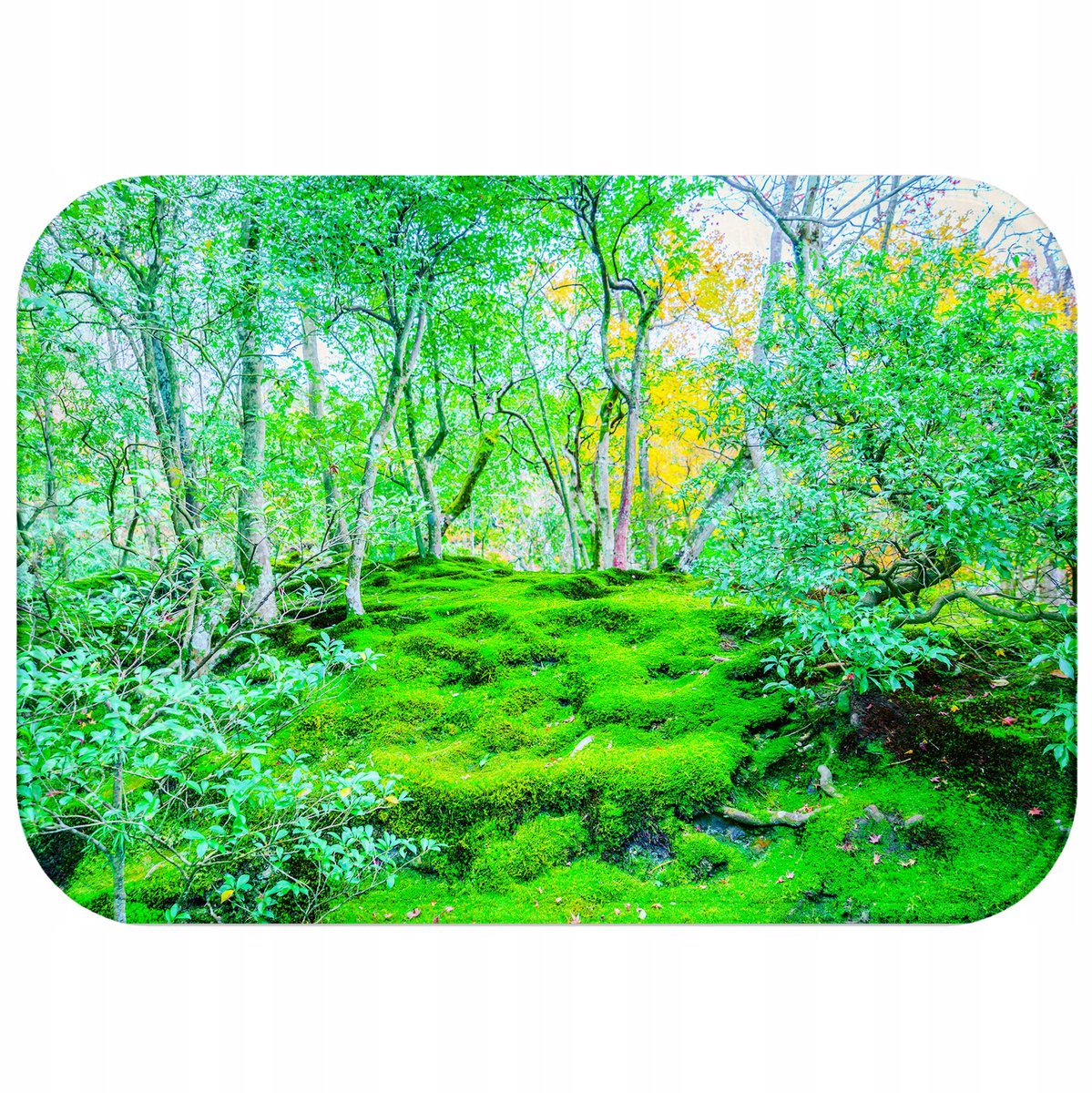 Zachte Antislip Badmat Rechthoekig Sneldrogend 40x60 cm