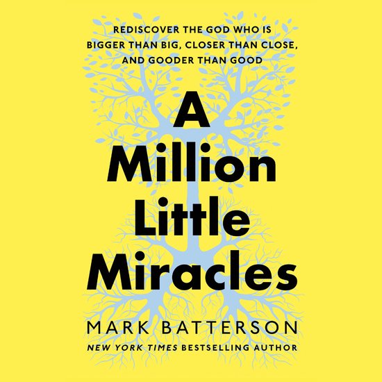 A Million Little Miracles - cover