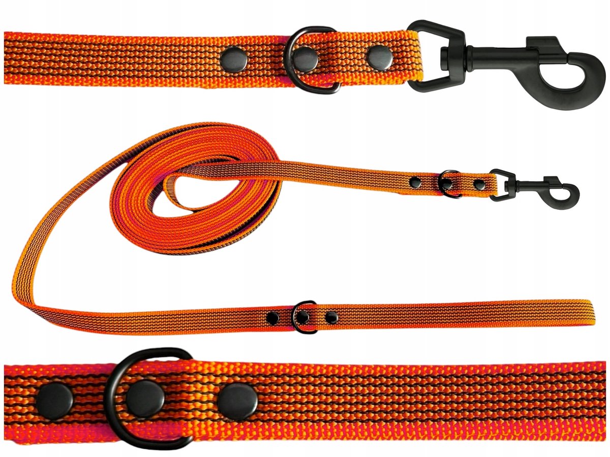 ShelbyPets Hondenlijn 5m 20mm - Duurzaam, Antislip, Oranje