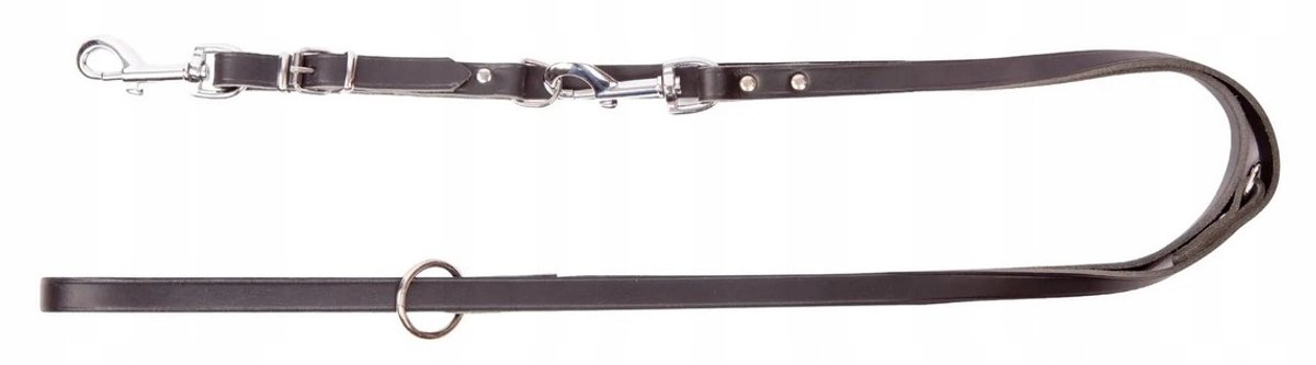 Dingo Leren Hondenriem Verstelbaar, Gevlochten - Zwart, 200 cm