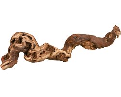 Druiventak terrarium decoratie | natuurlijke klimtak +-25 cm