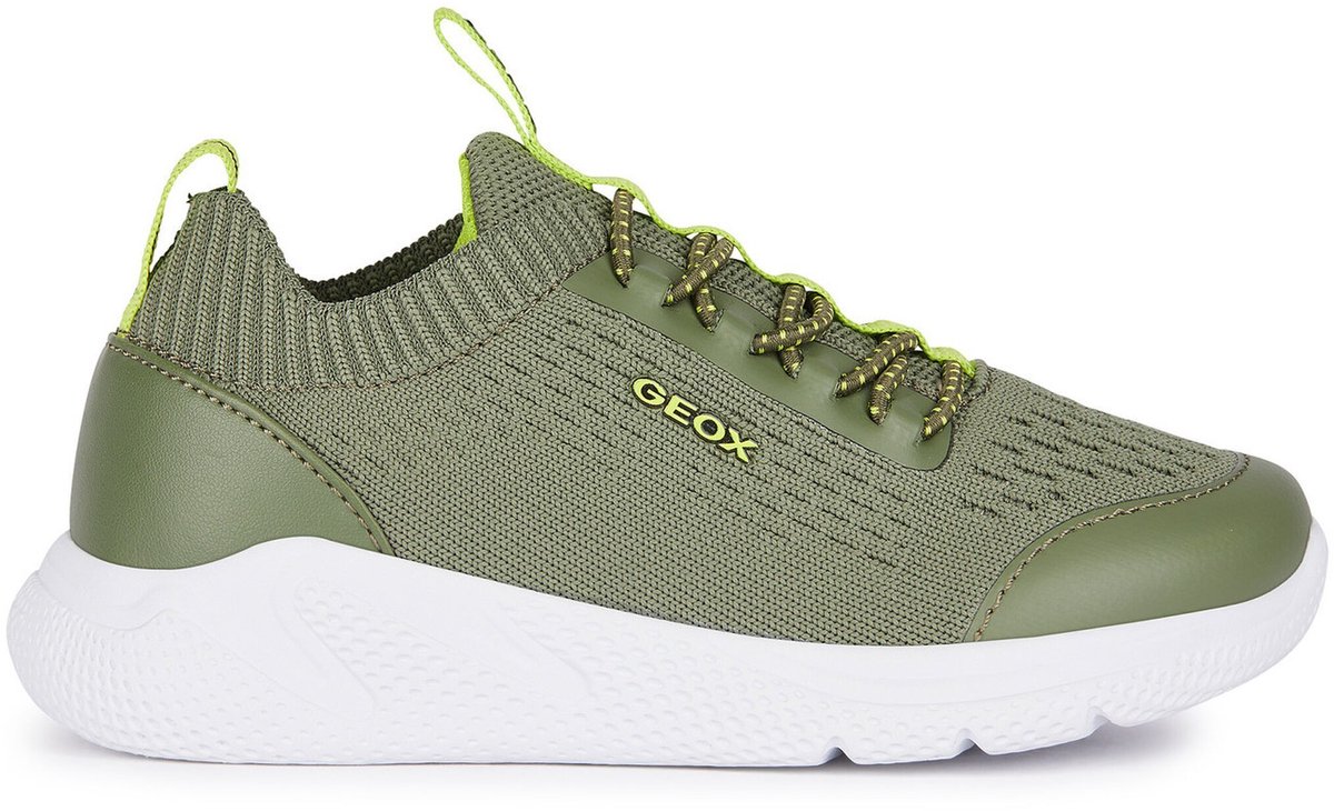 Geox Sneakers Groen