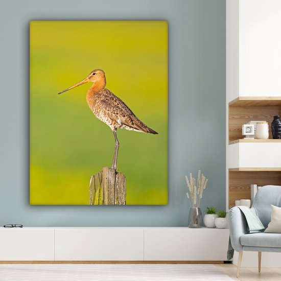 Toile - Tableau - Vogel - Animaux - Barge à queue noire - Perche - Vert - Peintures sur toile - Photo sur toile - 120x160 cm - Décoration murale - Salon