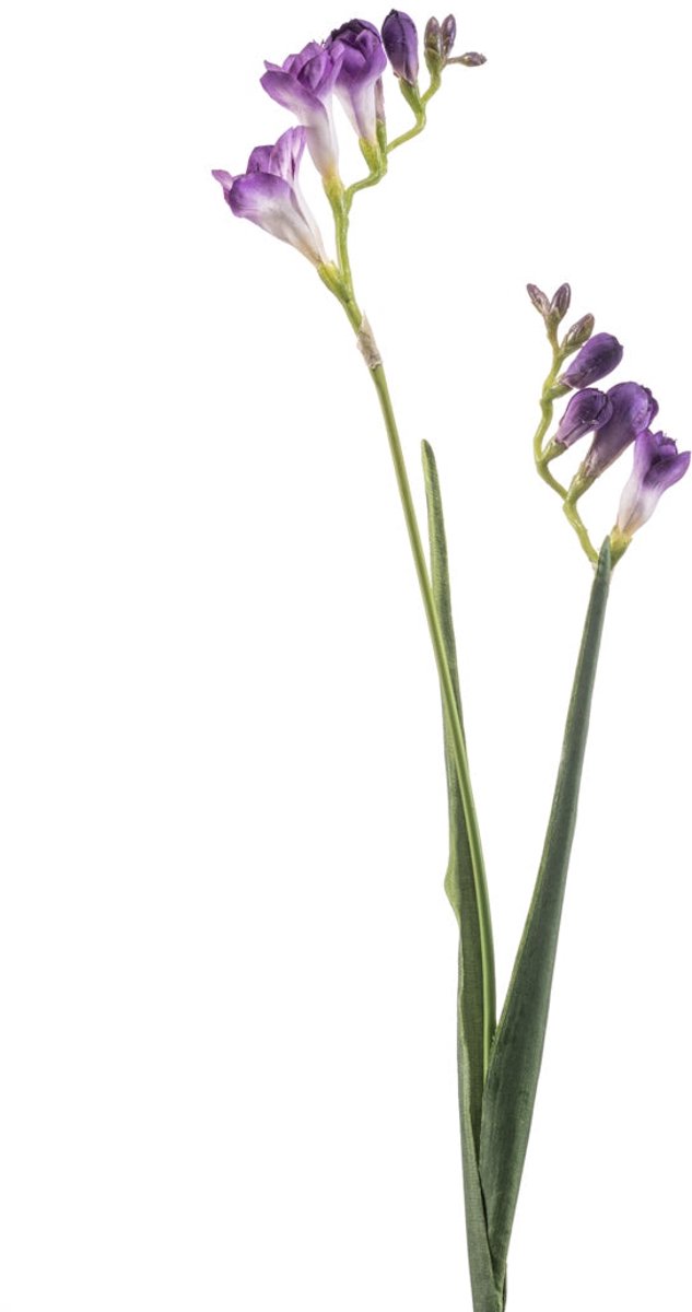 Emerald Kunstbloem Freesia 80cm paars - Kunstplant voor binnen