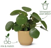 Elho Vibes Fold Rond 35 - Grote Bloempot voor Binnen - Gemaakt voor elke dag - Ø 34.9 x H 32.4 - Linen white