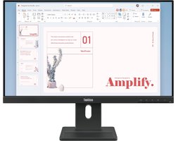 Lenovo ThinkVision E24-40 Monitor
