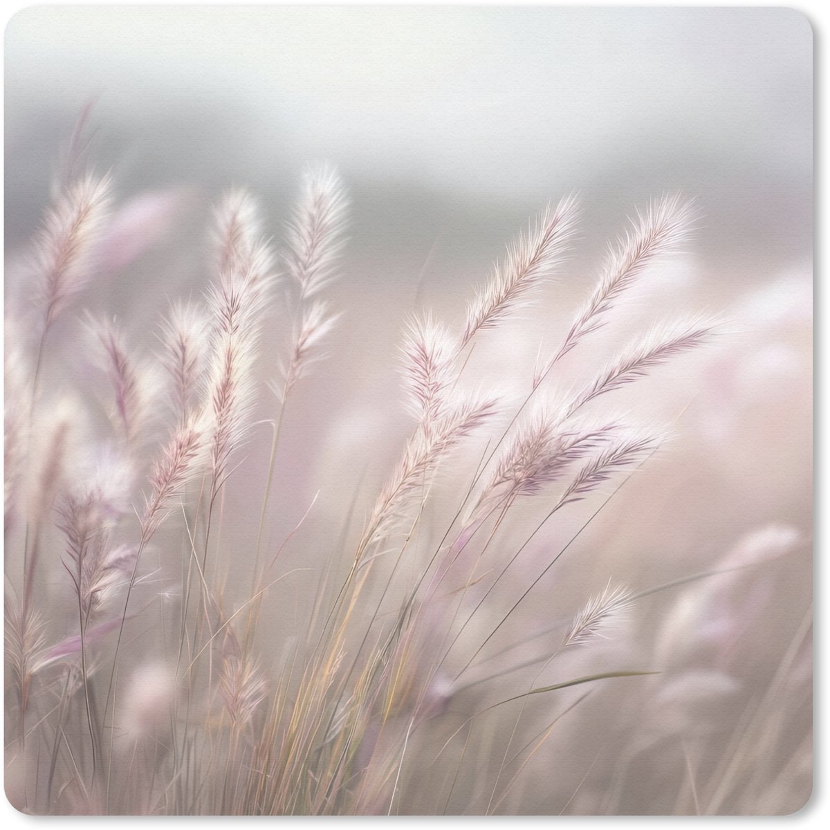 Muismat 20x20 cm - Mousepad Graspluimen - Wind - Beige - Mistig - Muismatten