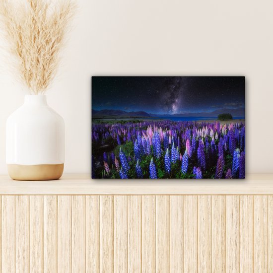 Champ de fleurs avec des lupins violets et bleus la nuit au lac Tekapo en Nouvelle-Zélande 30x20 cm - petit - Tirage photo sur toile (Décoration murale salon / chambre) / Peintures Fleurs sur toile