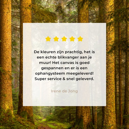 Toile - Toile nature - Arbre - Forêt - Ciel - Décoration murale - Photo sur toile - 200x100 cm