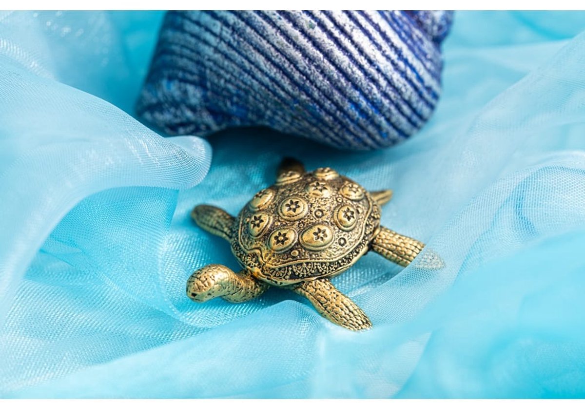 Schildpad messing