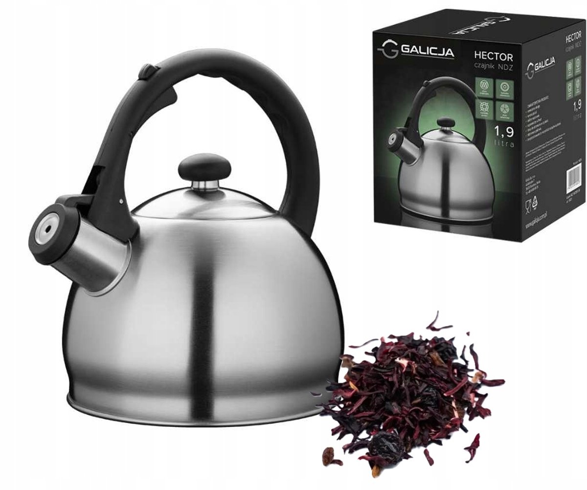 Galicja HECTOR RVS Waterkoker 1.9L - Zilver Satin