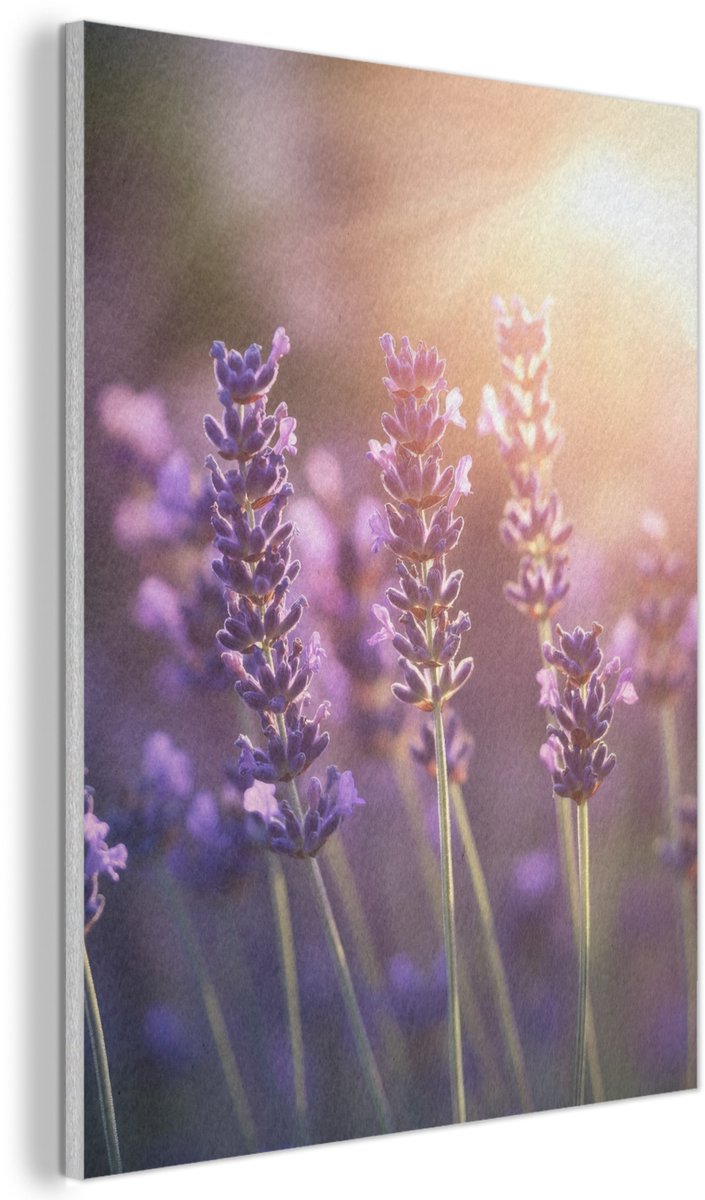 Akoestisch wandpaneel 50x70 cm - Vilt schilderij Lavendelbloemen - Paars - Zonlicht - Akoestische panelen - Geluidsdempende wanddecoratie - Geluidsisolatie woonkamer - Muurdecoratie geluidspanelen
