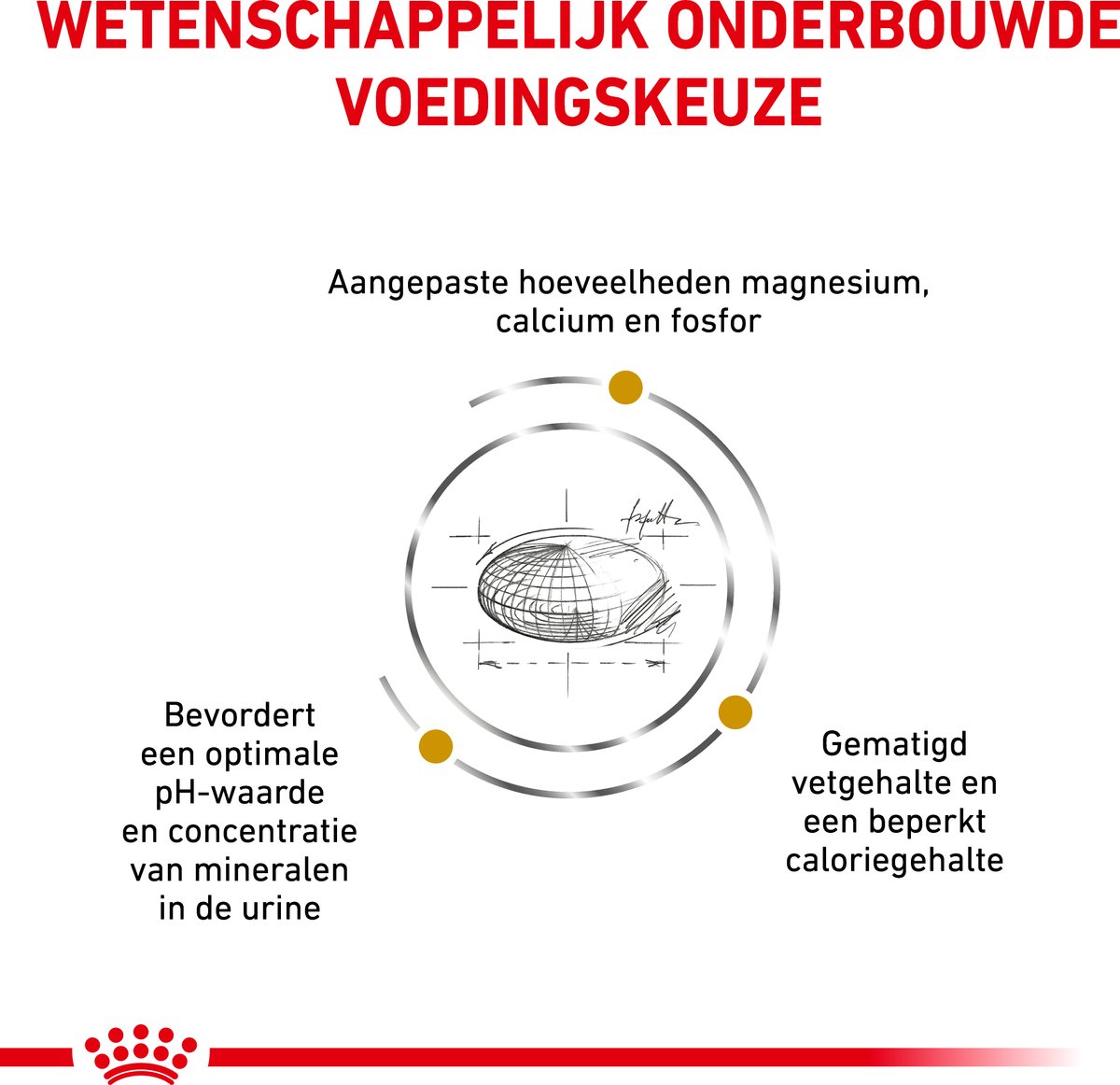 Royal Canin Urinary Moderate Calorie - Kat Droogvoer thumbnail 3