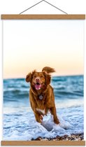 Schoolplaat – Blije Hond op de Zee - 40x60cm Foto op Textielposter (Wanddecoratie op Schoolplaat)