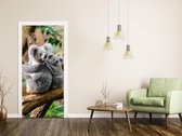Luxe Deursticker Koala - bruin|grijs - Sticky Decoration - deurposter - decoratie - woonaccesoires - op maat voor jouw deur